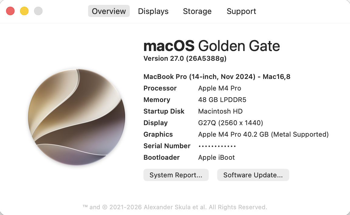 About This Hack Overview showing macOS and hardware information